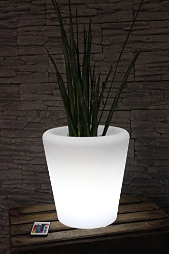 Arnusa Oasis Lights PL123 - Macetero con iluminación LED con mando a distancia y batería, 16 colores a elegir