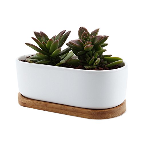 T4u Conjunto de 1 Diseño Moderno Oval Blanco de cerámica Cerámicos Planta Maceta Suculento Cactus Contenedor Vivero de jardín Macetas Envase