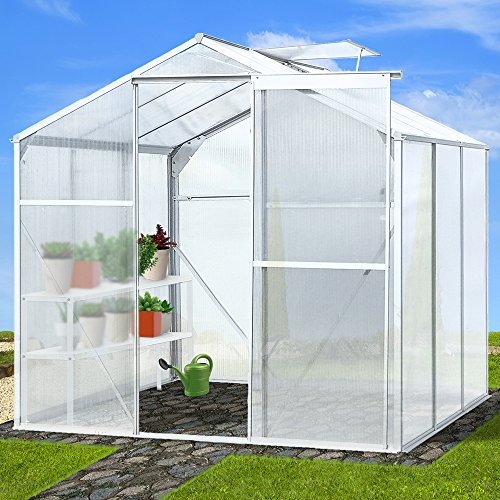Jago – Invernadero para jardín (con 1 ventana) de tamaño 5,36 m³ - aprox. 190cm x 190cm x 183,3cm - modelo a elegir