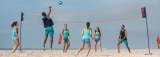 Mejor Red de Voley Playa: Comparativa 2026